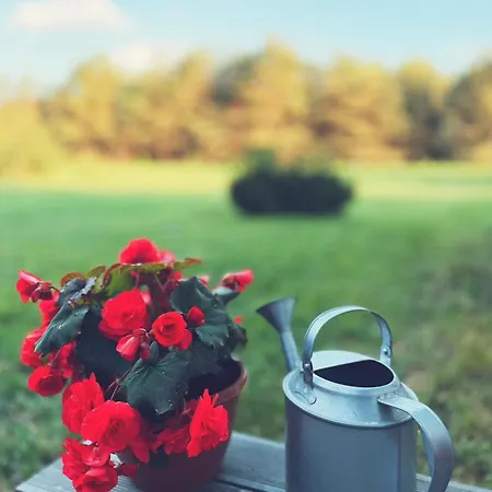 Villa Nowy Dom Przy Starym Krzesle - W Pelniku Pelnik