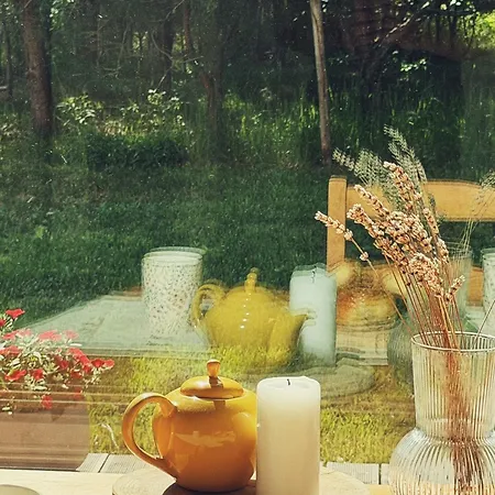 Nowy Dom Przy Starym Krzesle - W Pelniku Villa *